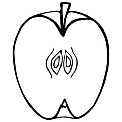 Outline fruit apple. 