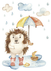 Card cute hedgehog and umbrella watercolor