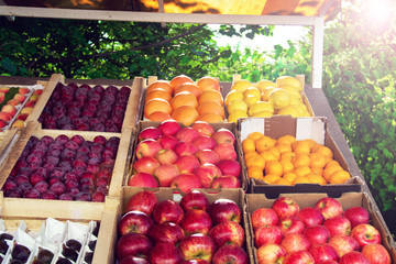 Set of various colorful fresh fruits in tray on street.