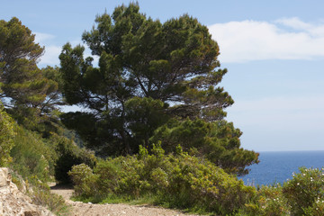 Fototapeta na wymiar peaceful landscape with an trail by the sea