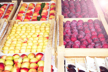 Set of various colorful fresh fruits in tray on street.