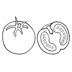 Outline vegetable tomato