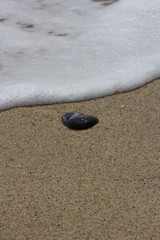 Fototapeta na wymiar one black stone on the beach by the sea