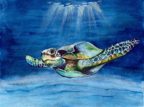  Watercolor picture of  a sea  turtle in blue water with rays of light