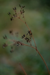 grün blau und orange