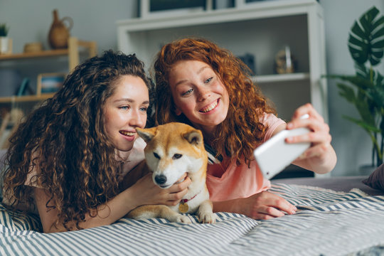 Pretty girls friends are taking selfie with cute dog using smartphone camera lying on couch together having fun. Modern technology, people and photographs concept.