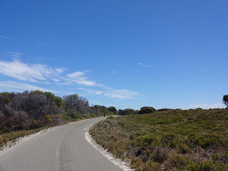 Landscape with path and bush in Perth, Australia