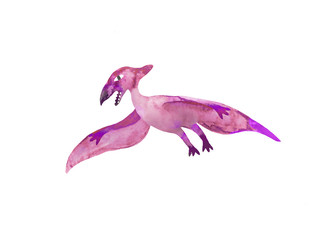 Pterodactylus flying dinosaur cute hand drawn illustration for child, kids clothes design or other stuff. Purple watercolor pterosaur painting isolated on white background