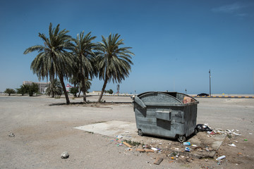 garbarge under palm trees