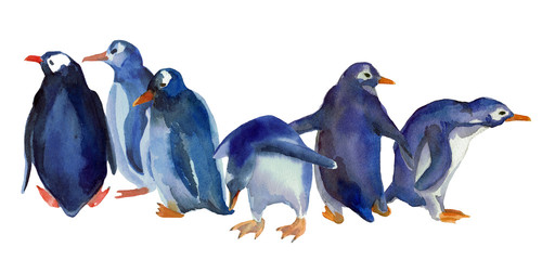 Watercolor hand drawn ilustration of different blue penguins stand in a group, isolated on white background. Design for children illustration, backgrounds, packaging, decoration. 