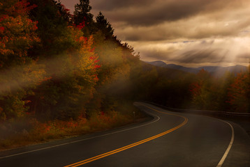 An asphalted hilly winding road among the autumn bright yellow trees. USA.