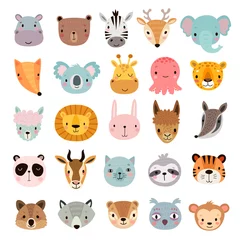 Fototapete Zoo Großes Tierset. Süße Gesichter. Handgezeichnete Charaktere.
