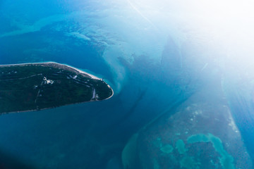 Fototapeta premium fish in the sea