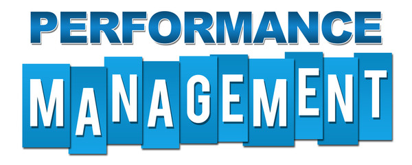 Performance Management Professional Blue 