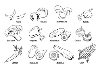 Vegetables. Set of black and white icons. Vector simple illustration of Chilli, Tomato, Mushrooms, Garlic, Onion, Cucumber, Paprika, Broccoli, Carrot, Avocado, Zucchini, Corn.