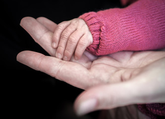 Fototapeta premium OLYMPUS DIGITAL CAMERA