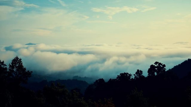 Time Lapse of fog rolling through the valley of the Great Smokey Mountains in Waynesville North Carolina, and engulfing the camera.