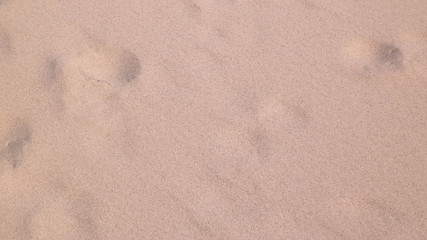 Shoe print on the sand