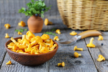 A fresh chanterelles mushrooms  in a clay bowl.