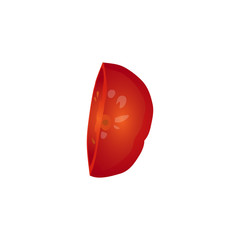 Vector illustration, red realistic tomato without outline
