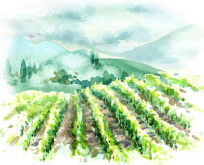 Watercolor Rural Scene with Hills, Vineyard  and Trees