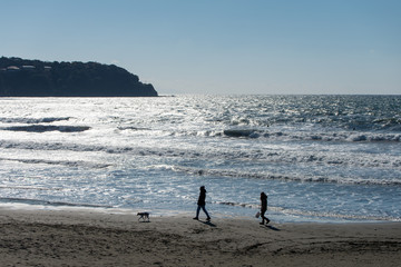 浜辺を散歩するカップルと犬