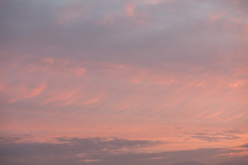 Abstract nature background