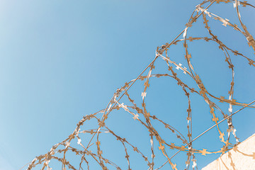 Barbed wire on the fence close-up. Limited depth of field.