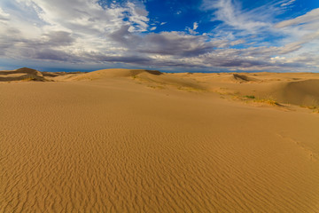 Obraz na płótnie Canvas Beautiful views of the Gobi desert. Mongolia.