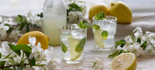 Bottle and glasses of cold lemon drink, ice, mint leaves, slices, white apple flowers on linen tablecloth. Close-up, copy space, horizontal banner