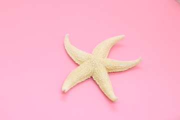 starfish close-up on a pink background, inhabitants of the sea, the concept of rest in tropical countries, travel