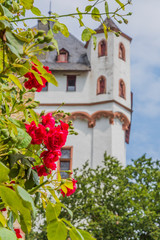 Fototapeta na wymiar Portriat of red roses and Eltville castle tower in background