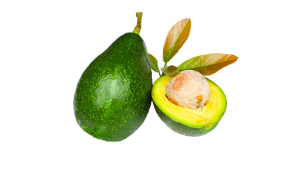 Avocado separated from white with leaves