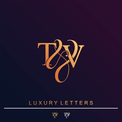 T & V TV logo initial vector mark. Initial letter T & V TV luxury art vector mark logo.