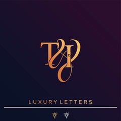 T & I TI logo initial vector mark. Initial letter T & I TI luxury art vector mark logo.