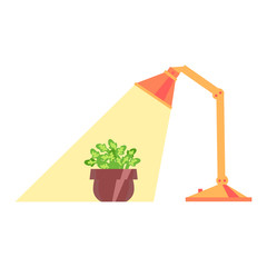 Vector illustration, potted plant under the lamp light, flat style. Can be used as interior elements, home decoration, applicable for plants care leaflets, hygge illustrations etc.