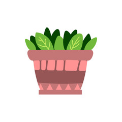 Vector illustration, isolated potted plant, flat style. Can be used as interior element, applicable for bright home decorations leaflets, hygge illustrations etc.