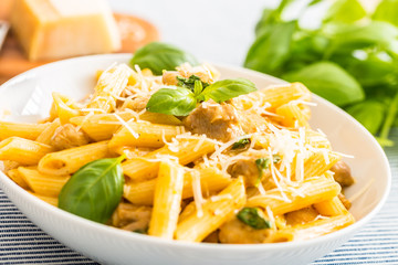 Pasta penne with chicken pieces mushrooms basil parmesan cheese and white wine.  Italian food in white plate on kitchen table