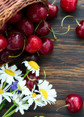 Cherries in the basket pot and daisies on an old wooden background.