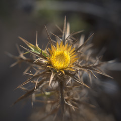 Formentera 2019 - Spiagge