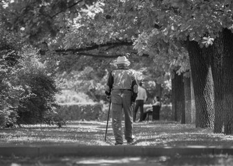 old man walking with a stick in the park on a sunny summer day