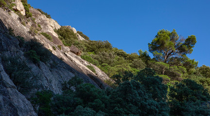 Fototapeta na wymiar Mons la Trivalle Languedoc France Gorge d'Heric