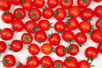 tomatoes on white background