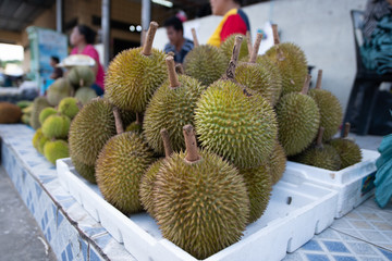 Spiky fruit durian at fruit market.