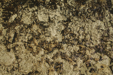 Wet rough rock surface