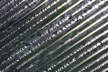 Water droplets on cellular polycarbonate, pattern and structure with variable scale and direction.