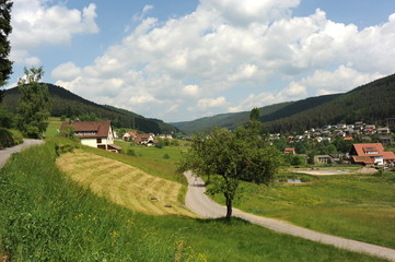 Fototapeta na wymiar Tonbach im Schwarzwald