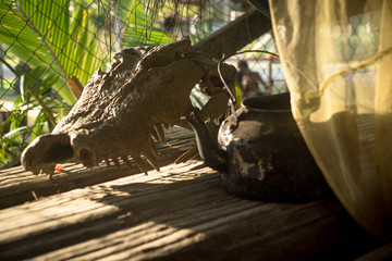 Inside the tribal house in PNG