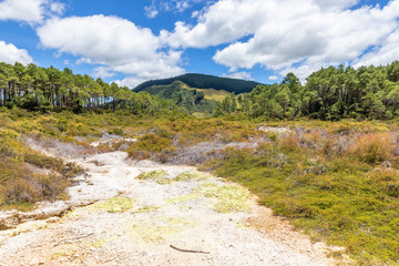 Fototapeta na wymiar geothermal activity at Rotorua in New Zealand