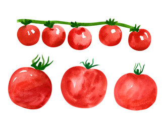 Set of different vegetables, hand drawn watercolor illustration. Tomato. Can be used for menu and recipe design.